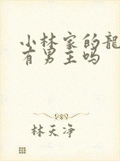 小林家的龙女仆有男主吗