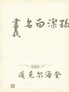 书名白洁孙倩高义封面