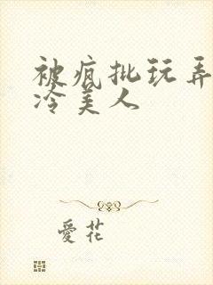 被疯批玩弄的清冷美人封面