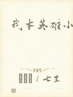 我本英雄小说