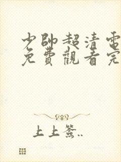 少帅超清电视剧免费观看完整版