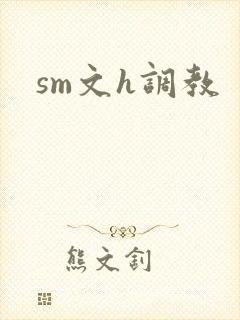 sm文h调教