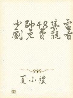 少帅48集电视剧免费观看高清