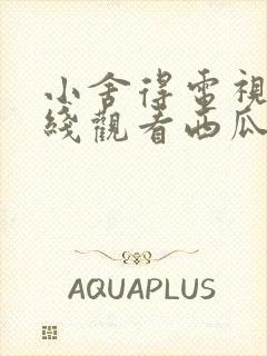 小舍得电视剧在线观看西瓜42集