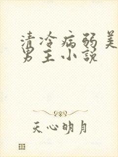 清冷病弱美人双男主小说