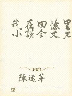 我在回忆里等你小说全文免费阅读