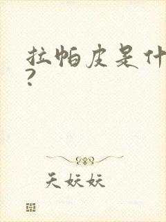 拉帕皮是什么皮?封面