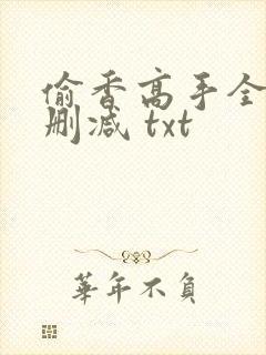 偷香高手全文无删减 txt