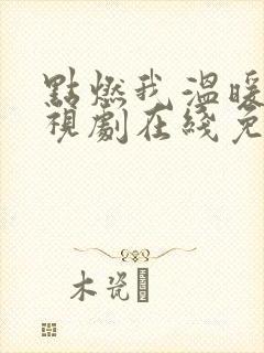 点燃我温暖你电视剧在线免费观看