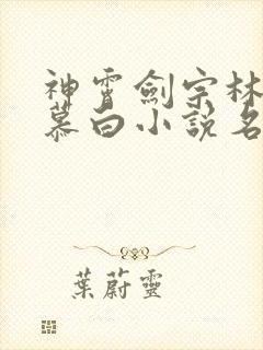 神霄剑宗林枫苏慕白小说名叫什么封面