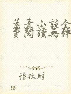 叶青小说全文免费阅读无弹窗