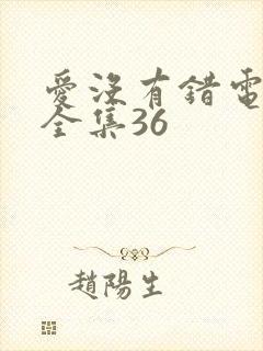 爱没有错电视剧全集36