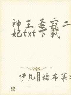 神王毒宠二嫁王妃txt下载