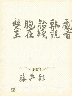 双胞胎韩剧双男主在线观看免费高清