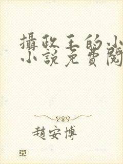 摄政王的小闲妻小说免费阅读