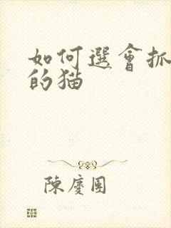 如何选会抓老鼠的猫