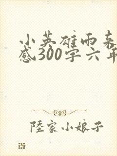 小英雄雨来读后感300字六年级