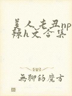 美人老丑np高辣h文合集封面