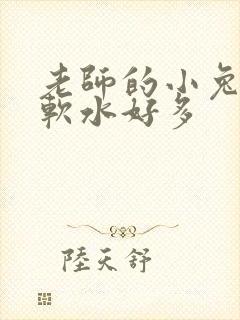 老师的小兔子好软水好多