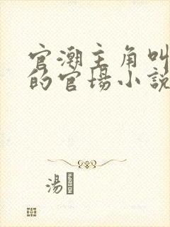 官潮主角叫周欢的官场小说