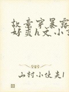 故意穿暴露被强好爽h文小说封面