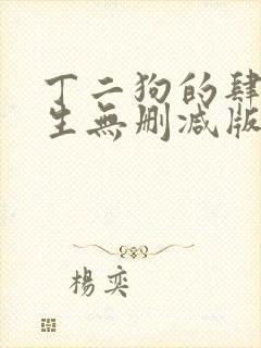 丁二狗的肆意人生无删减版 小说