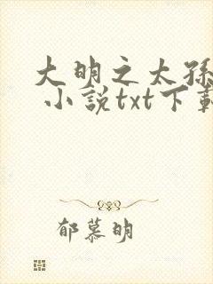 大明之太孙无敌 小说txt下载