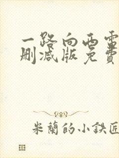 一路向西电影未删减版免费观看