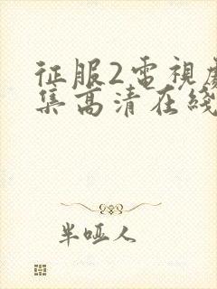 征服2电视剧全集高清在线观看