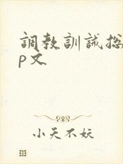 调教训诫总裁sp文