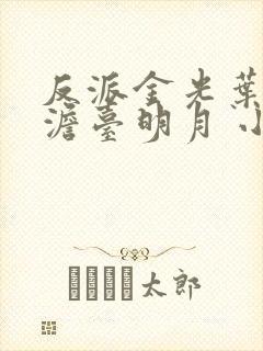 反派金光叶玄,澹台明月 小说