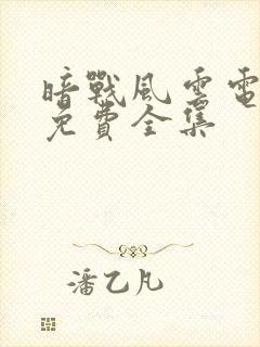 暗战风云电视剧免费全集