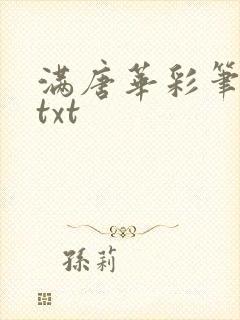 满唐华彩笔趣阁txt封面