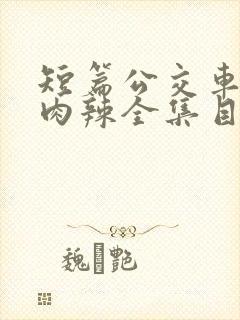 短篇公交车高h肉辣全集目录