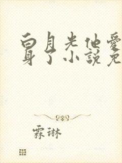 白月光他爱上替身了小说免费阅读