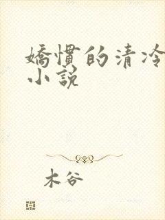 娇惯的清冷美人小说