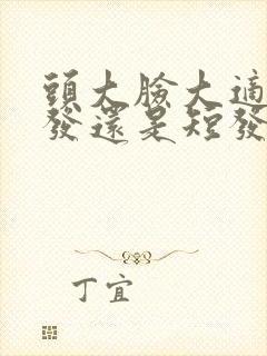 头大脸大适合长发还是短发