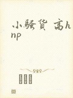 小骚货 高h np