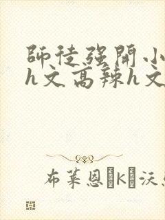 师徒强开小嫩苞h文高辣h文