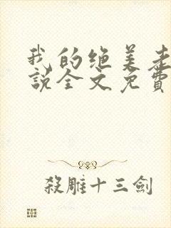 我的绝美老婆小说全文免费阅读