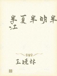 半夏半明半寐晋江