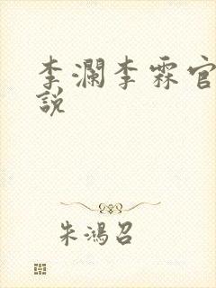 李澜李霖官场小说