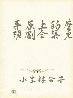 平原上的摩西电视剧全集免费