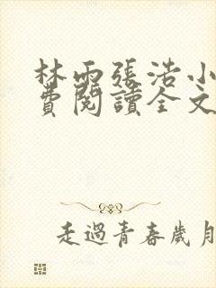 林雨张浩小说免费阅读全文最新章节