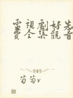 电视剧好先生免费全集观看高清封面