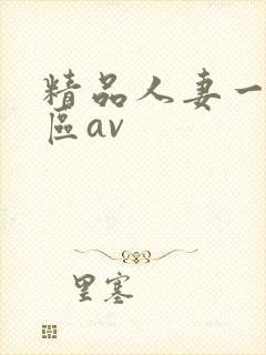 精品人妻一区二区av