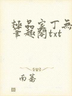 极品家丁无删节笔趣阁txt