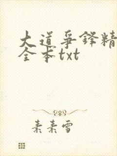 大道争锋精校版全本txt
