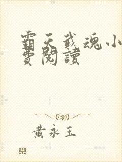 霸天武魂小说免费阅读