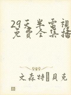 29天半电视剧免费全集播放国语版